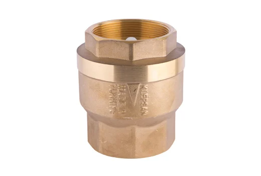 KLEPSAN 1 1/4" YAYLI DİK ÇEKVALF DN 32 (SESSİZ) - Adet